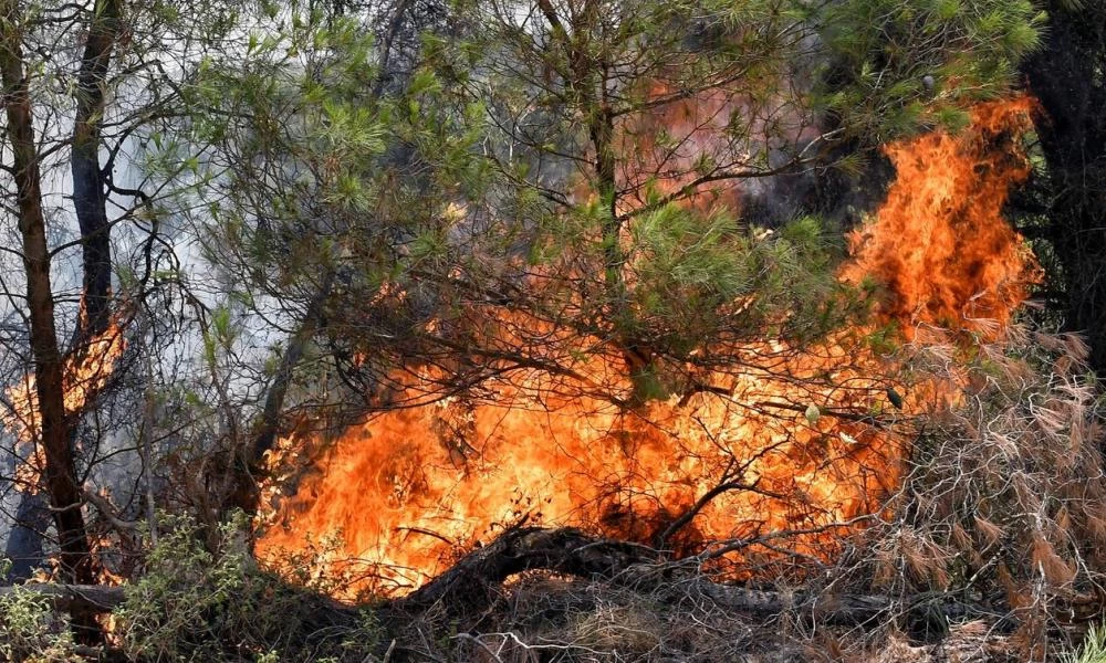 Πυρκαγιά: Που θα είναι "πορτοκαλί" ο κίνδυνος για αύριο (εικόνες)